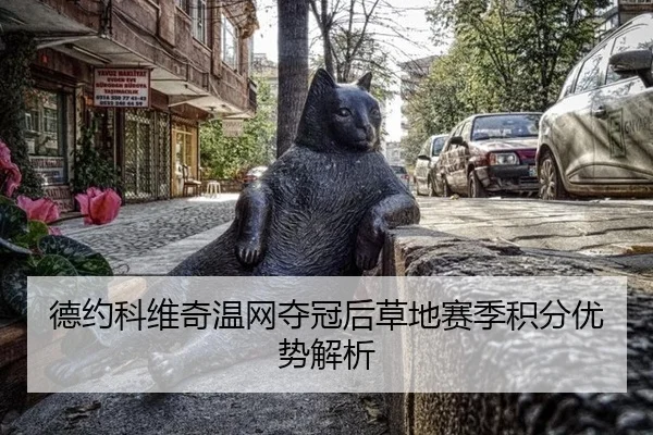 de-yue-ke-wei-qi-wen-wang-duo-guan-hou-cao-di-sai-ji-ji-fen-you-shi-jie-xi-2-210.jpg