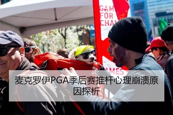 麦克罗伊PGA季后赛推杆心理崩溃原因探析